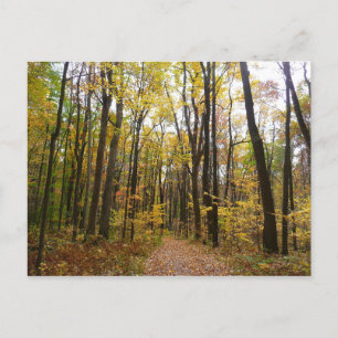 Herbstweg und Golden Blätter im Laurel Hill Park Postkarte