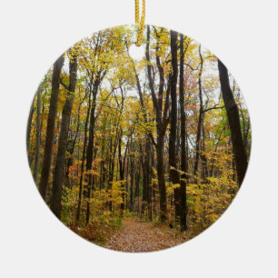 Herbstweg und goldene Blätter im Laurel Hill Park Keramik Ornament