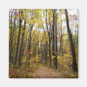 Herbstweg und goldene Blätter im Laurel Hill Park Magnet