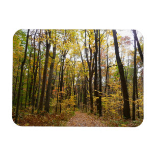 Herbstweg und goldene Blätter im Laurel Hill Park Magnet