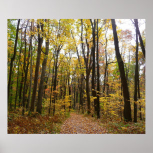 Herbstweg und goldene Blätter im Laurel Hill Park Poster