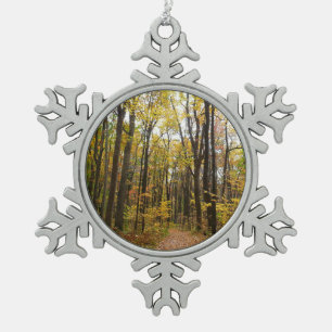 Herbstweg und goldene Blätter im Laurel Hill Park Schneeflocken Zinn-Ornament