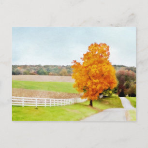 Herbstweide Postkarte