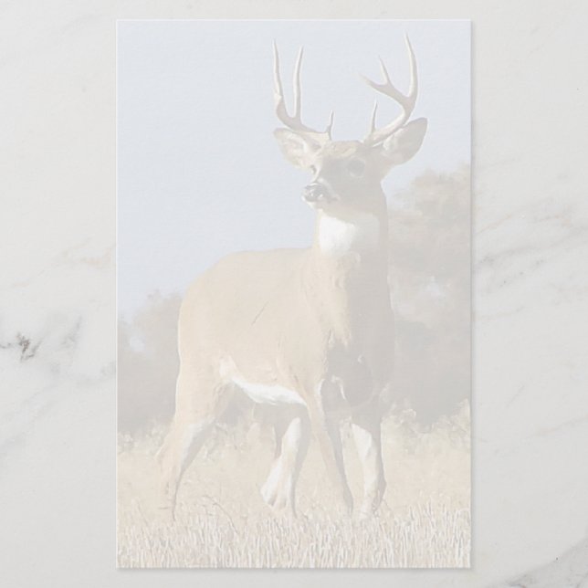Herbstwhitetail-Dollar Briefpapier (Vorderseite)