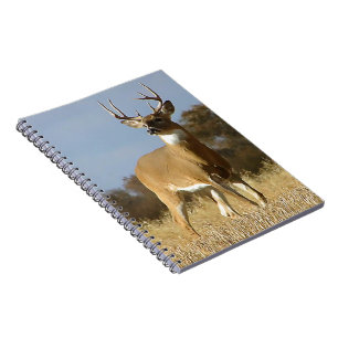Herbstwhitetail-Dollar Notizblock