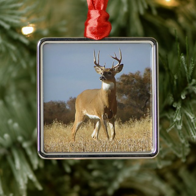 Herbstwhitetail-Dollar Silbernes Ornament (Baum)