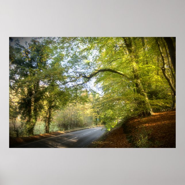 Herbstwoodland (4316) Poster (Vorne)