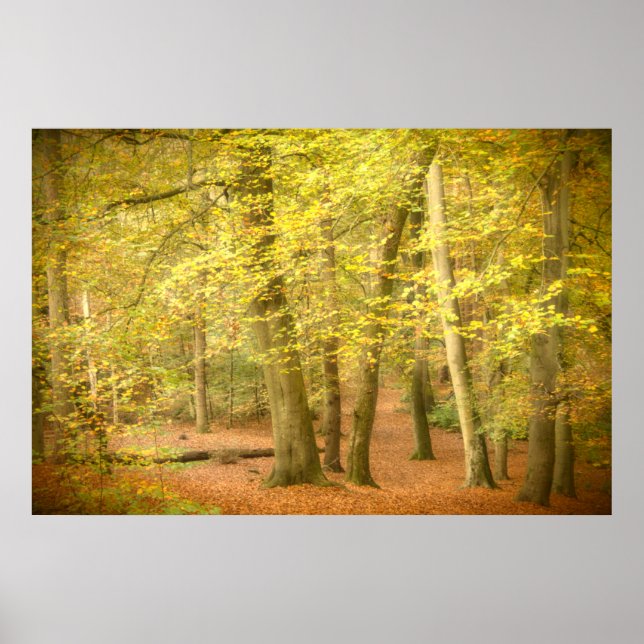 Herbstwoodland (4364) Poster (Vorne)