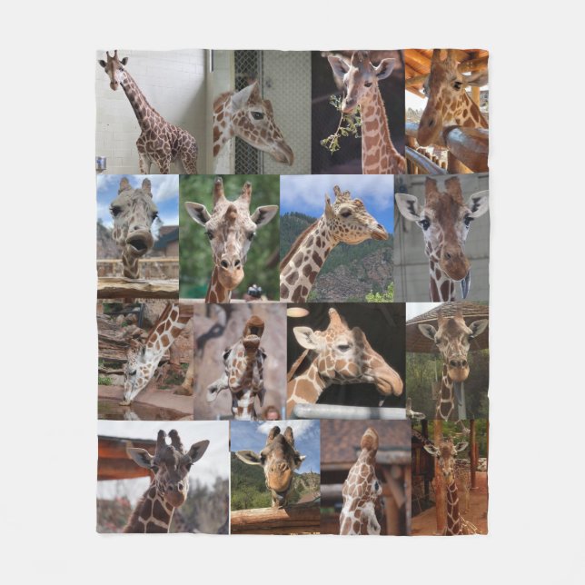 Herd 50" x 60" Mittleres Vlies-Blanket Fleecedecke (Vorderseite)