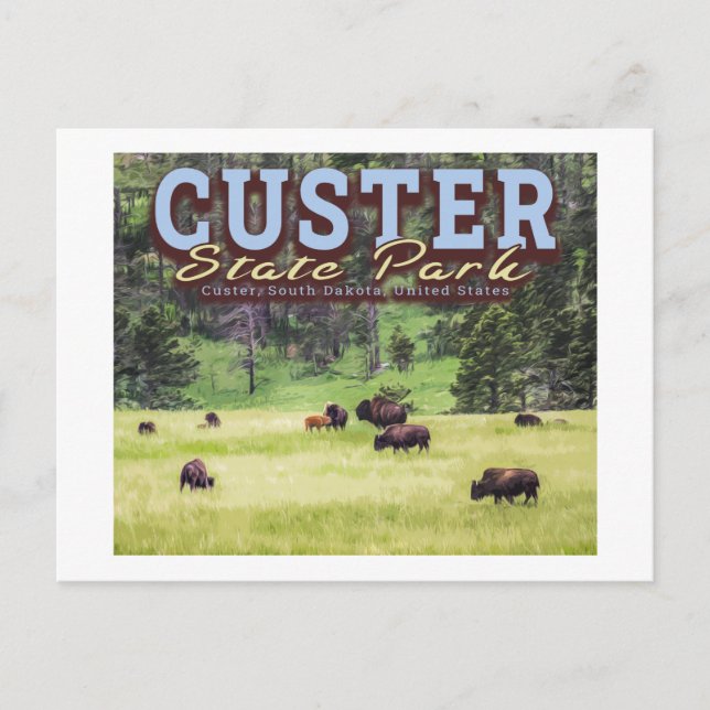 HERD BISON - KUNDENPARK STAAT - SÜDDAKOTA POSTKARTE (Vorderseite)