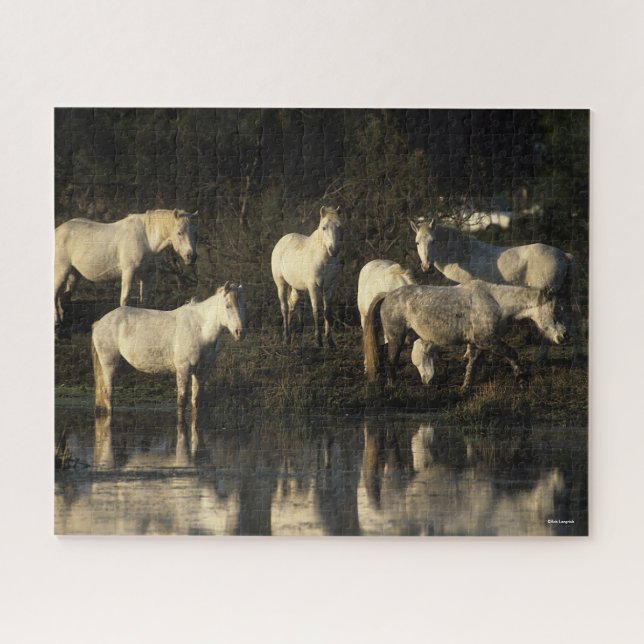 Herd Camargue Ponies Stehend im Wasser Puzzle (Horizontal)