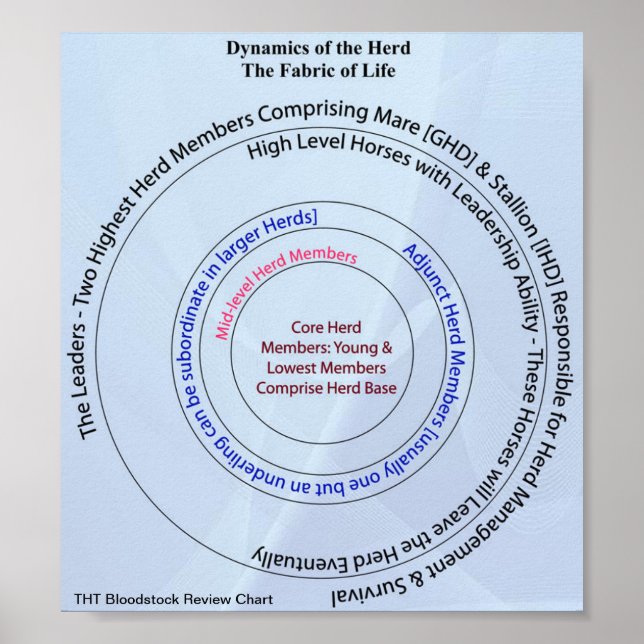 Herd Dynamic Fabric of Life Poster (Vorne)