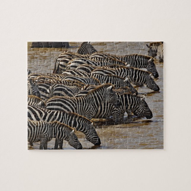 Herd von Burchell's Zebras trinken aus Mara Puzzle (Horizontal)