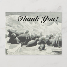 Herd von Walruses "Danke!" Postkarte