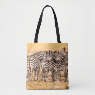 HERD VON ZEBRAS