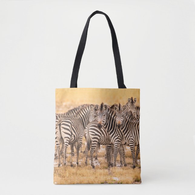 HERD VON ZEBRAS (Vorderseite)