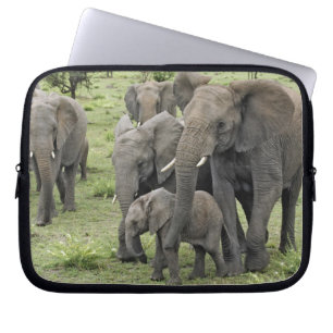Herde Afrikanischer Elefanten, Loxodonta africana, Laptopschutzhülle