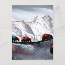 Herde der Bergjaks Himalaya