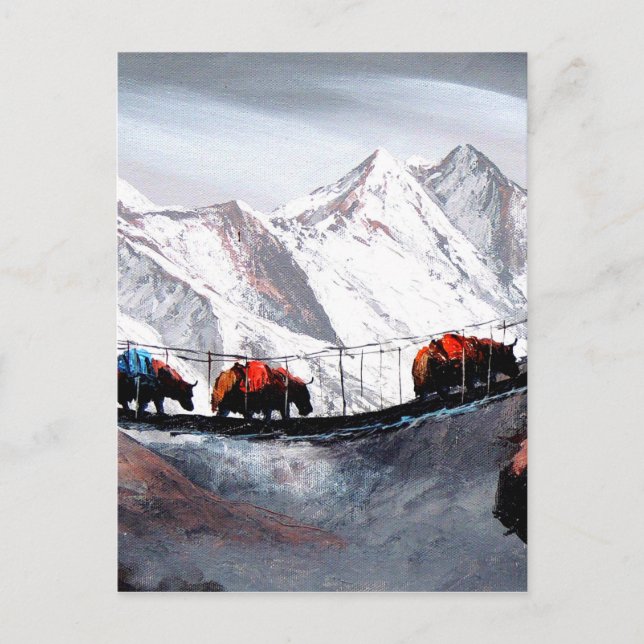 Herde der Bergjaks Himalaya Postkarte (Vorderseite)