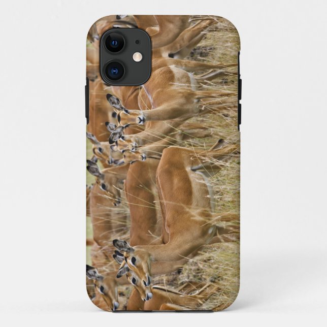 Herde der Frau Impala, Masai Mara, Kenia. Case-Mate iPhone Hülle (Rückseite)