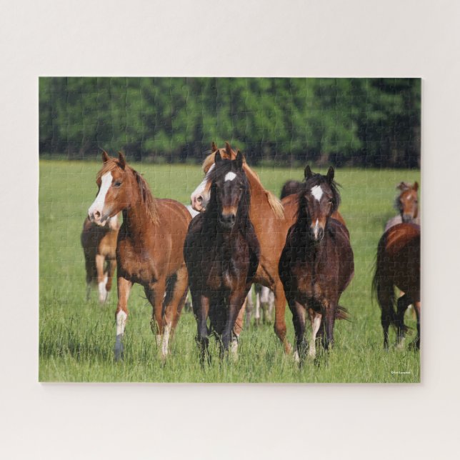 Herde der im Feld Stehenden walisischen Ponys Puzzle (Horizontal)