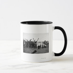 Herde des Rens in Alaska-Fotografie Tasse