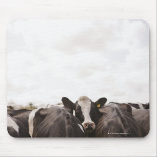 Herde des Viehs und des bewölkten Himmels Mousepad