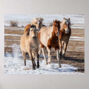Herde gemischter Pferde, die im Schnee laufen Poster