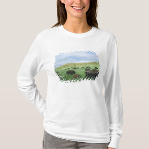 Herde von Bisongras, Gras von Prärien am Theodore T-Shirt