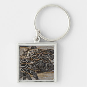 Herde von Burchell-Zebras beim Trinken aus dem Mar Schlüsselanhänger