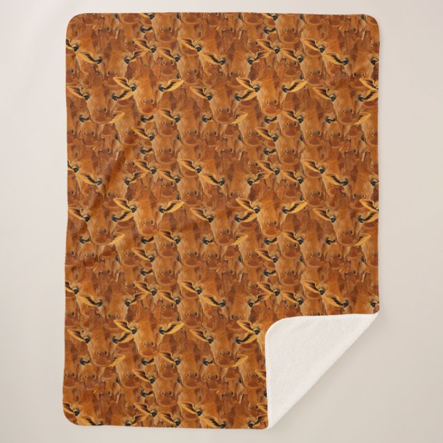 Herde von Giraffen Sherpadecke (Vorderseite)