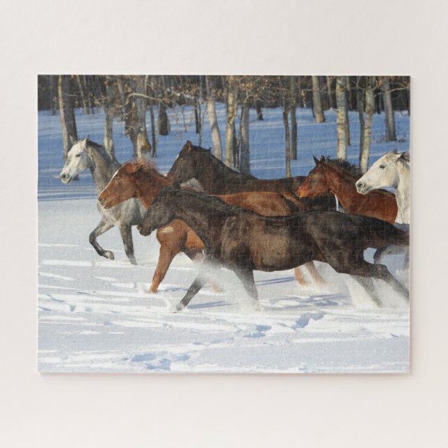 Herde von im Schnee laufenden Trakehner-Pferden Puzzle (Horizontal)