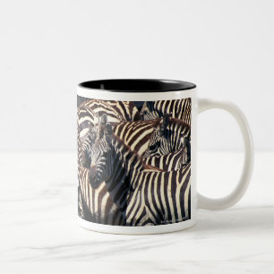 Herde von Zebras Zweifarbige Tasse