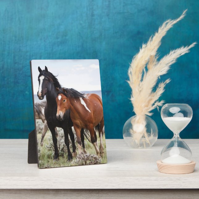 Herde wild lebender Pferde Fotoplatte (Seite)