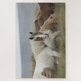 Herde wild lebender Pferde Puzzle