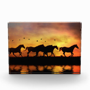 Herde wilder Pferde bei Sonnenuntergang Fotoblock