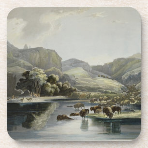 Herden des Bisons und der Elche auf dem Oberleder Untersetzer