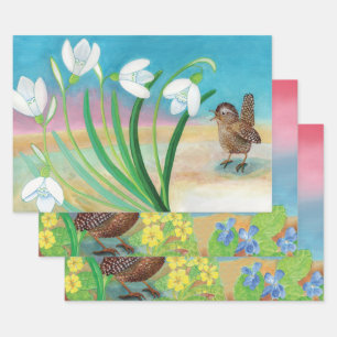 Herden des Frühlings - Wren-Vogel und Schneeröcke Geschenkpapier Set