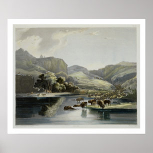 Herden von Bison und Elk im oberen Missouri, Plat Poster
