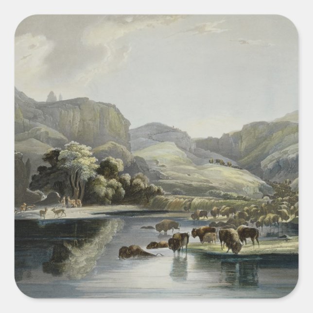 Herden von Bison und Elk im oberen Missouri, Plat Quadratischer Aufkleber (Vorderseite)