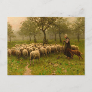 Herderin Met Kudde Schapen von Anton Mauve (c 1870 Postkarte