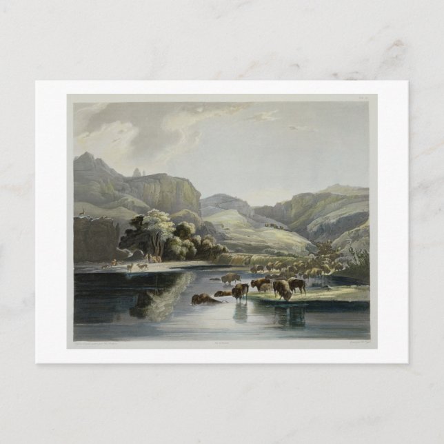 Herds of Bison and Elk on the Upper Missouri, plat Postkarte (Vorderseite)