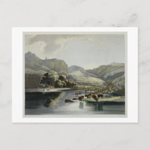 Herds of Bison and Elk on the Upper Missouri, plat Postkarte