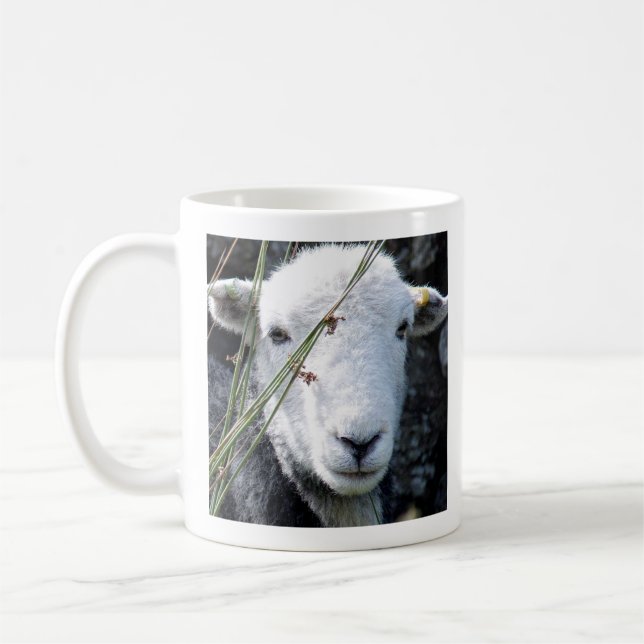 Herdwick ewe Tasse (Links)