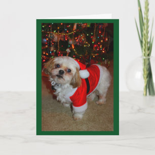 Here Comes Santa Paws! Karte