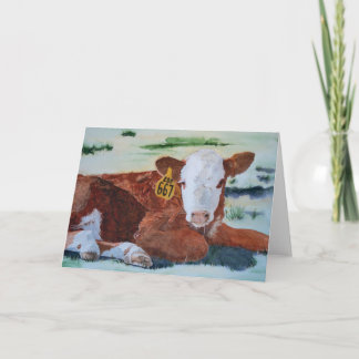 Hereford Calf Karte