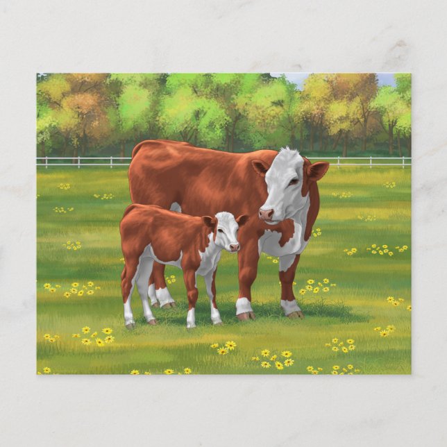 Hereford Cow & Niedlich Calf im Sommer Weide (Vorderseite)