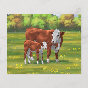 Hereford Cow & Niedlich Calf im Sommer Weide