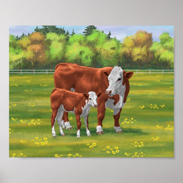 Hereford Cow & Niedlich Calf im Sommer Weide Poster (Vorne)