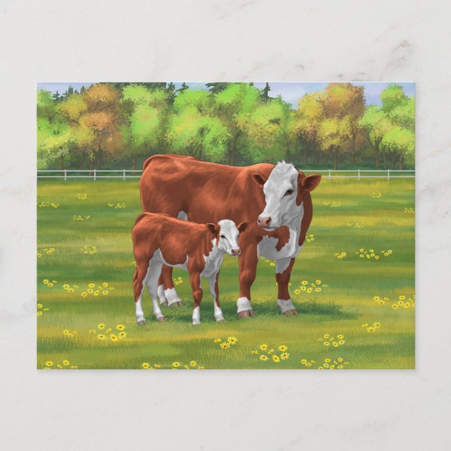 Hereford Cow & Niedlich Calf im Sommer Weide Postkarte (Vorderseite)